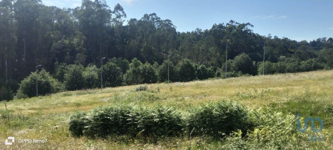 Terreno para Venda em Fonte Arcada e Oliveira Foto 2