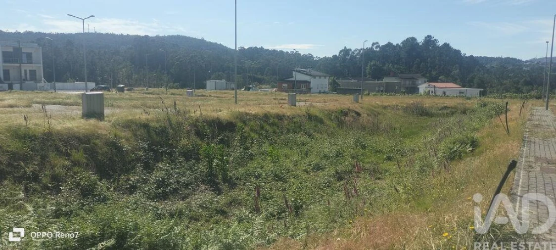 Terreno para Venda em Fonte Arcada e Oliveira Foto 21