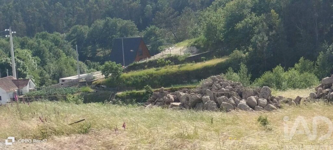 Terreno para Venda em Fonte Arcada e Oliveira Foto 25