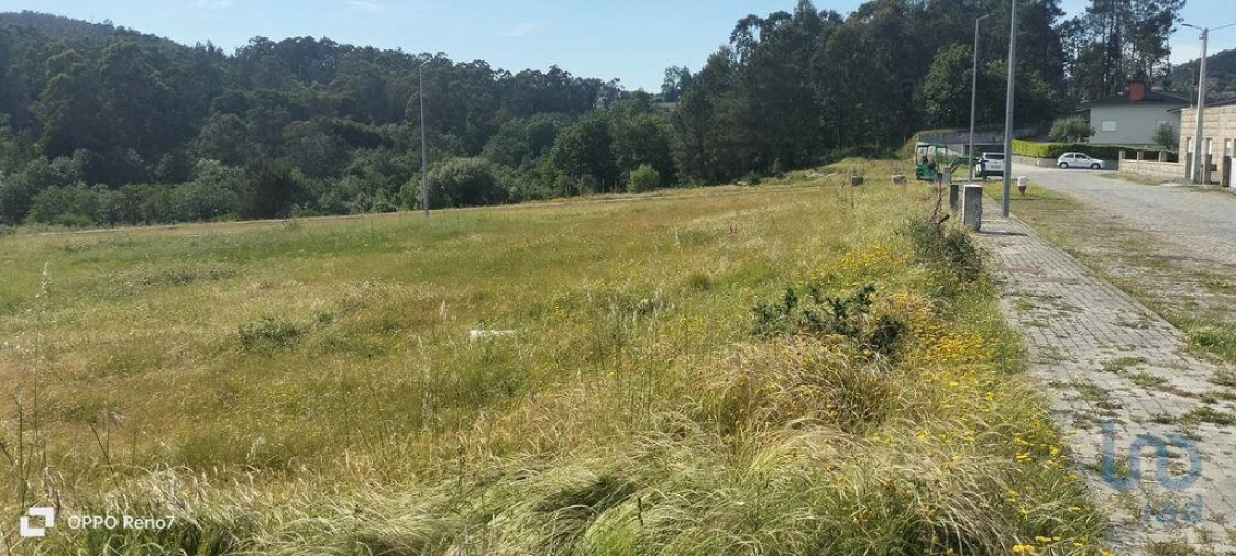 Terreno para Venda em Fonte Arcada e Oliveira Foto 6