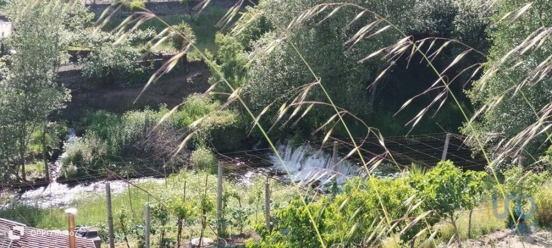 Terreno para Venda em Fonte Arcada e Oliveira Foto 3