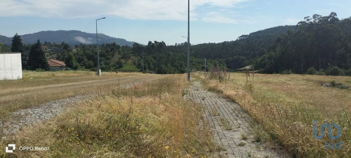 Terreno para Venda em Fonte Arcada e Oliveira Foto 11