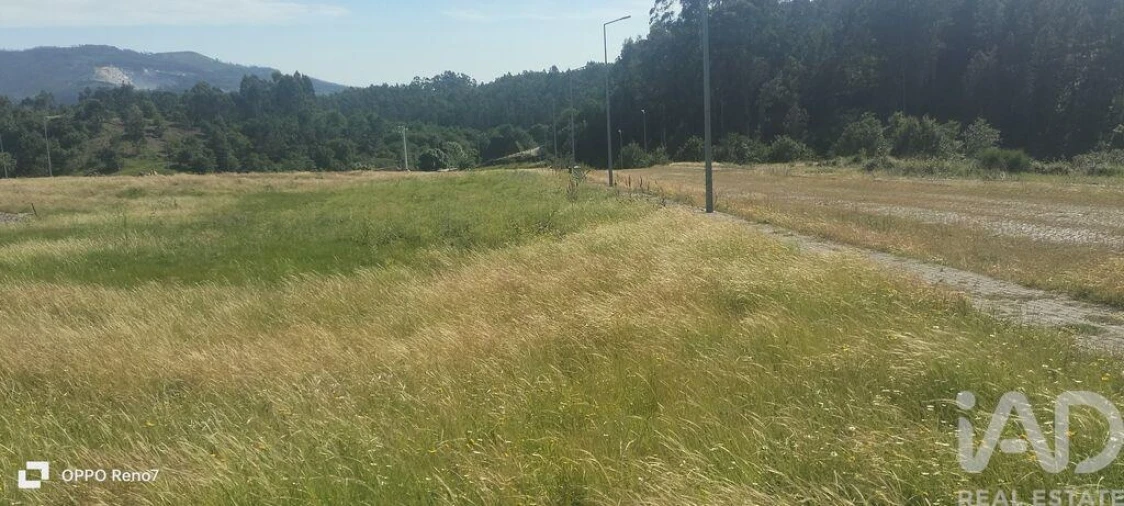 Terreno para Venda em Fonte Arcada e Oliveira Foto 28
