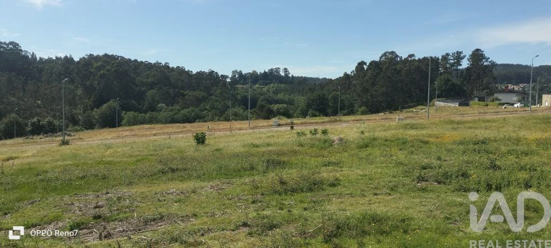 Terreno para Venda em Fonte Arcada e Oliveira Foto 19