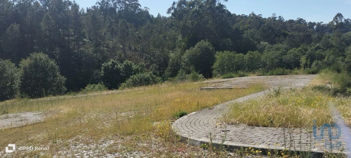 Terreno para Venda em Fonte Arcada e Oliveira Foto 8