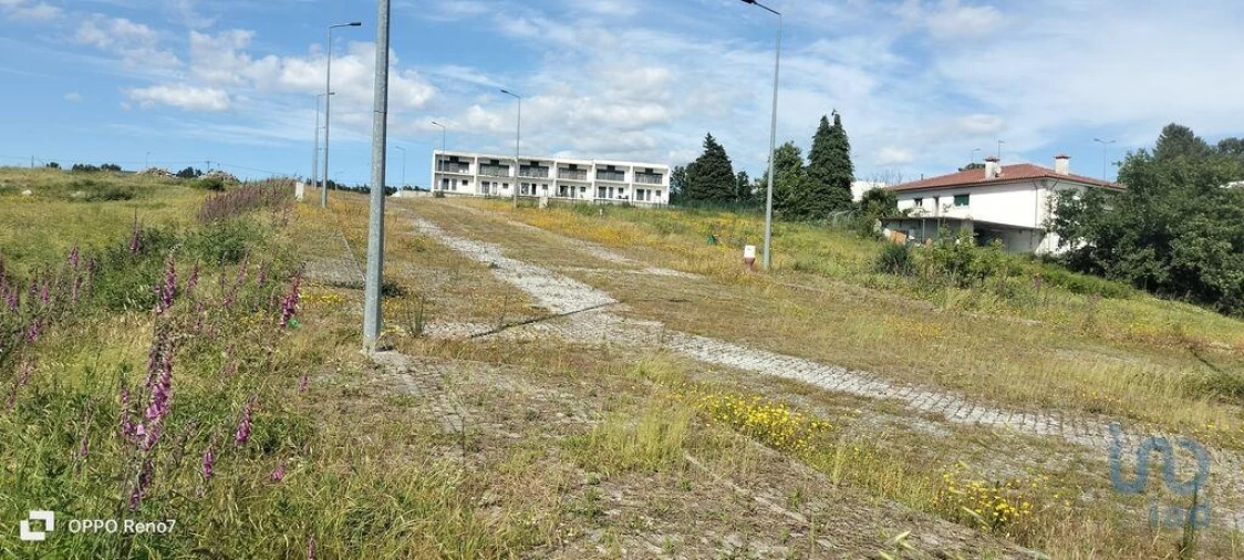 Terreno para Venda em Fonte Arcada e Oliveira Foto 12