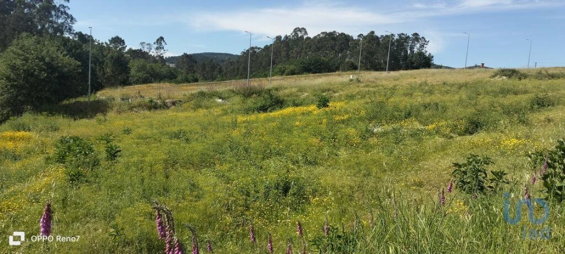 Terreno para Venda em Fonte Arcada e Oliveira Foto 4