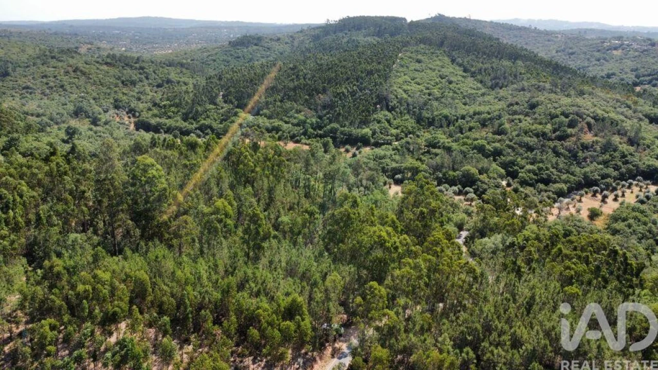 Terreno para Venda em Chãos Foto 16
