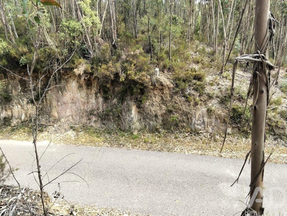 Terreno para Venda em Chãos Foto 15