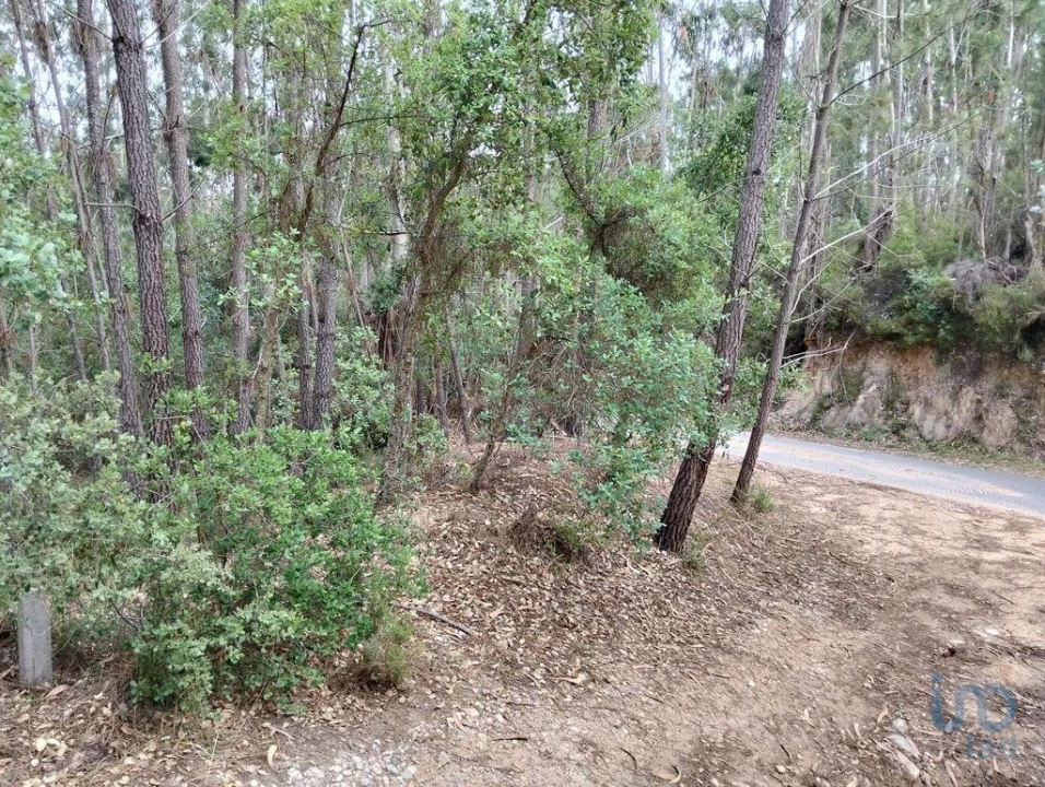 Terreno para Venda em Chãos Foto 3