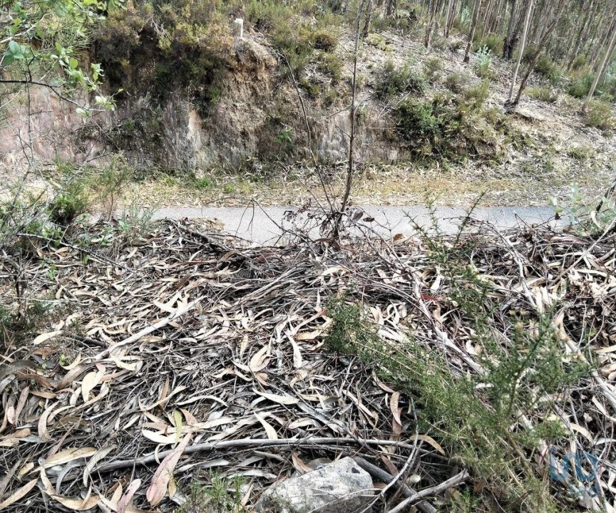 Terreno para Venda em Chãos Foto 11
