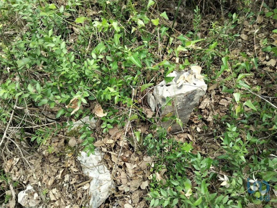 Terreno para Venda em Chãos Foto 13