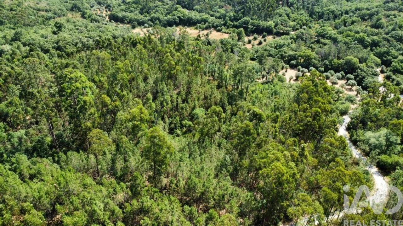 Terreno para Venda em Chãos Foto 18
