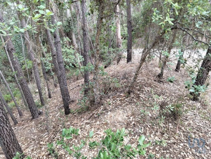 Terreno para Venda em Chãos Foto 6