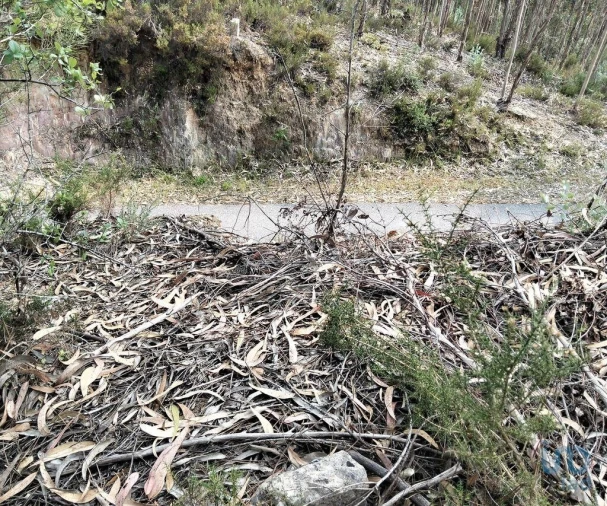 Terreno para Venda em Chãos Foto 11