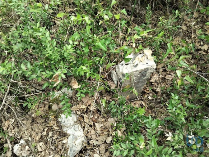 Terreno para Venda em Chãos Foto 13