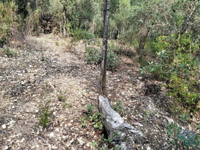 Terreno para Venda em Chãos Foto 12