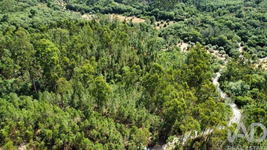 Terreno para Venda em Chãos Foto 19