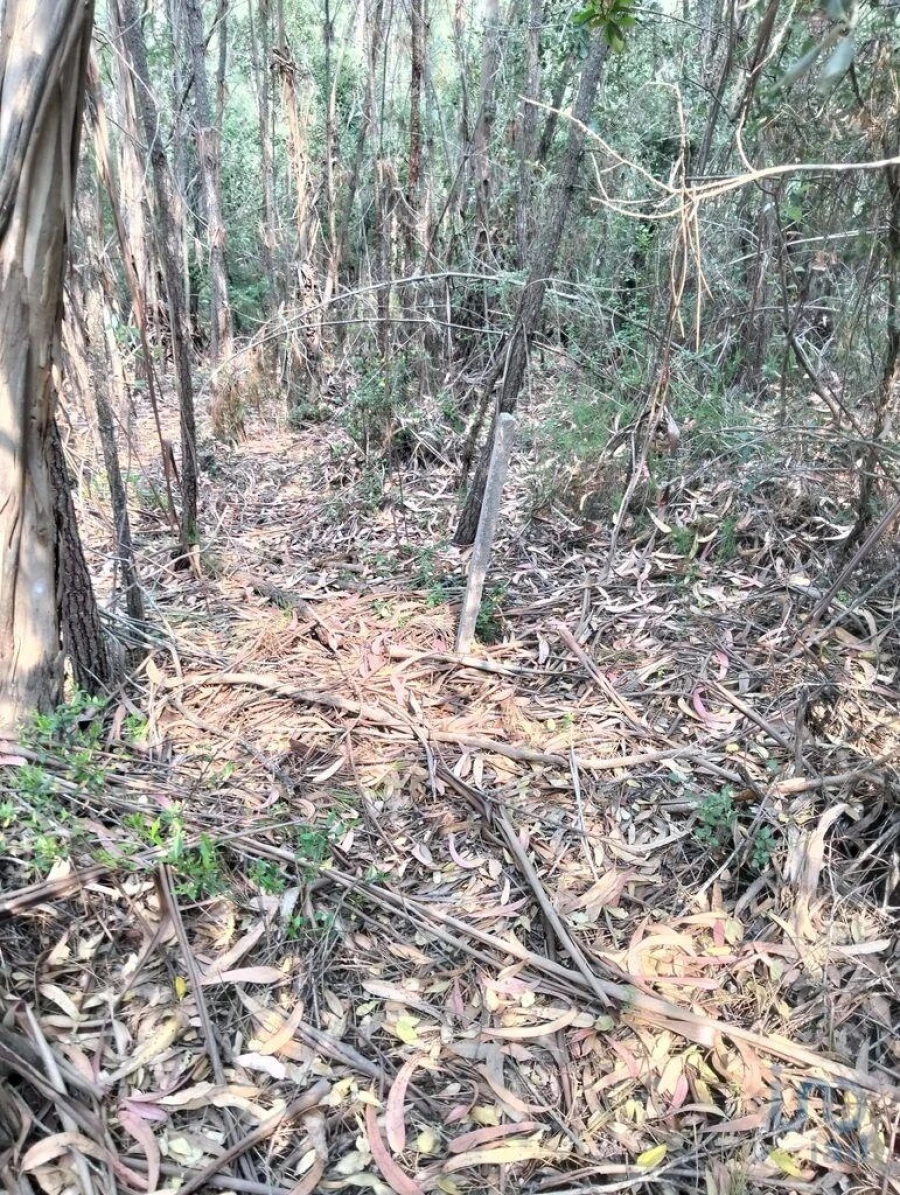 Terreno para Venda em Chãos Foto 10