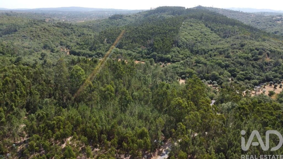 Terreno para Venda em Chãos Foto 17