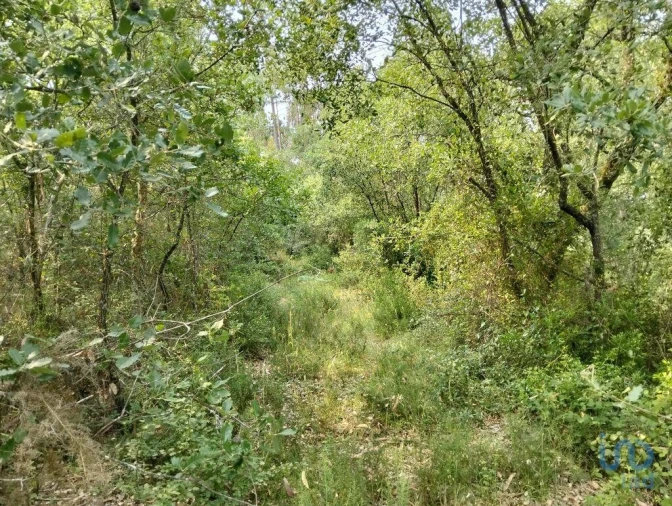 Terreno para Venda em Chãos Foto 1