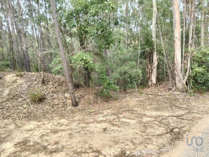 Terreno para Venda em Chãos Foto 4
