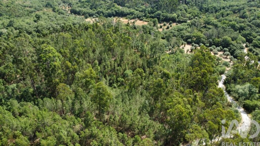 Terreno para Venda em Chãos Foto 22