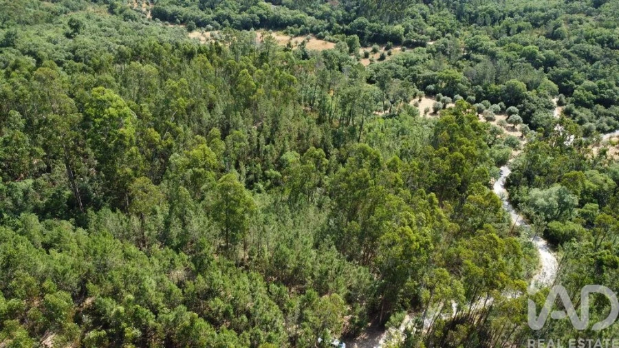 Terreno para Venda em Chãos Foto 21