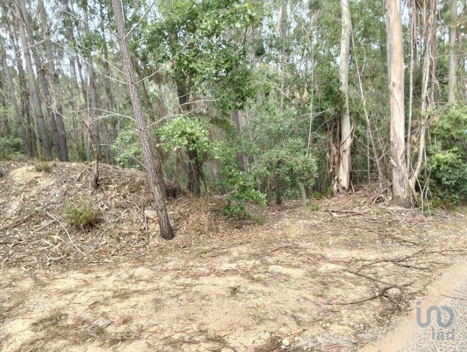 Terreno para Venda em Chãos Foto 4
