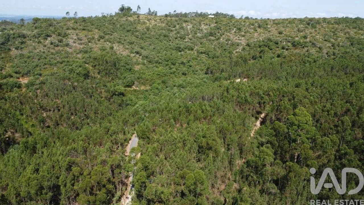 Terreno para Venda em Chãos Foto 20