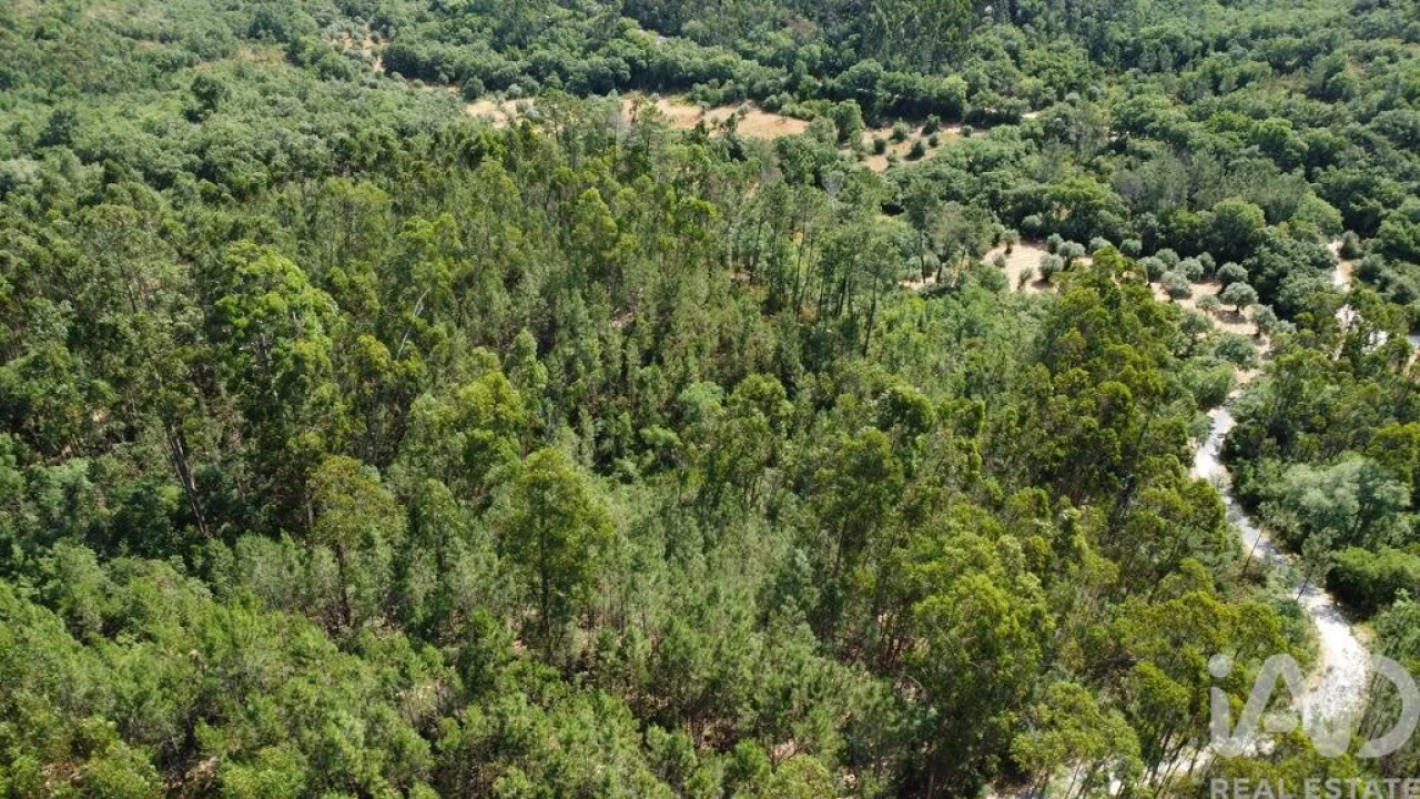Terreno para Venda em Chãos Foto 22