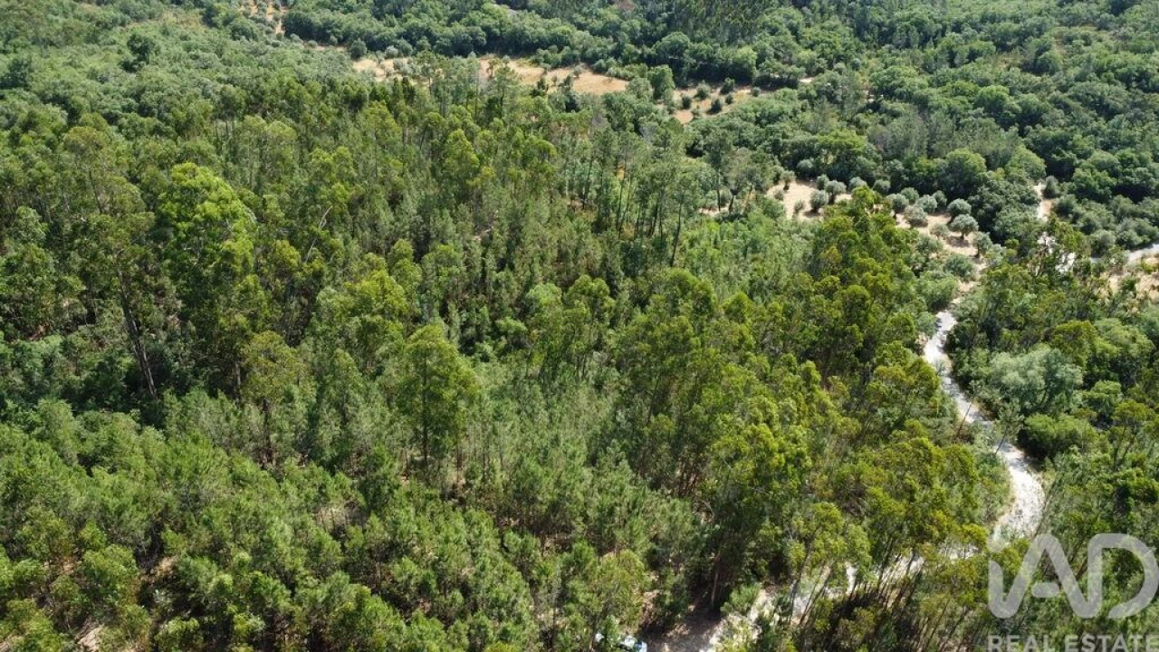 Terreno para Venda em Chãos Foto 21