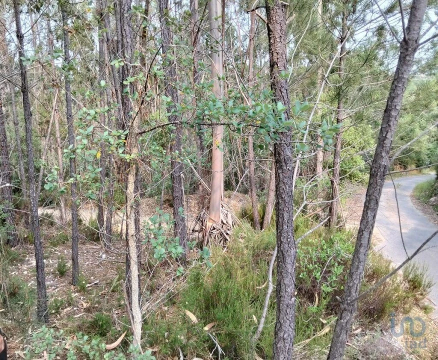 Terreno para Venda em Chãos Foto 5