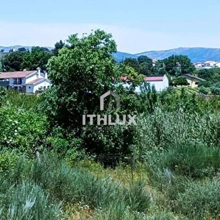 Terreno Agricola ou Rústico para Venda em Vale Formoso e Aldeia do Souto Foto 7