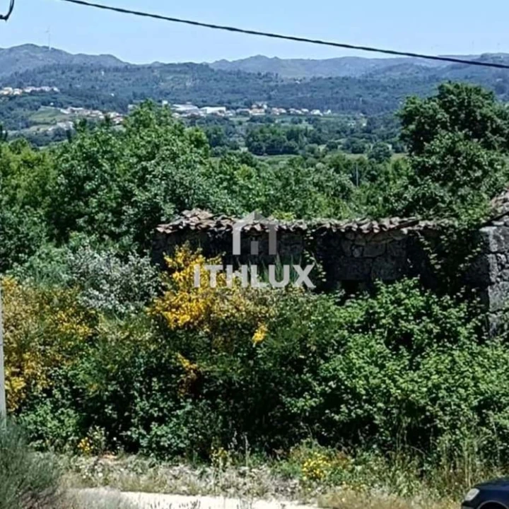 Terreno Agricola ou Rústico para Venda em Vale Formoso e Aldeia do Souto Foto 5