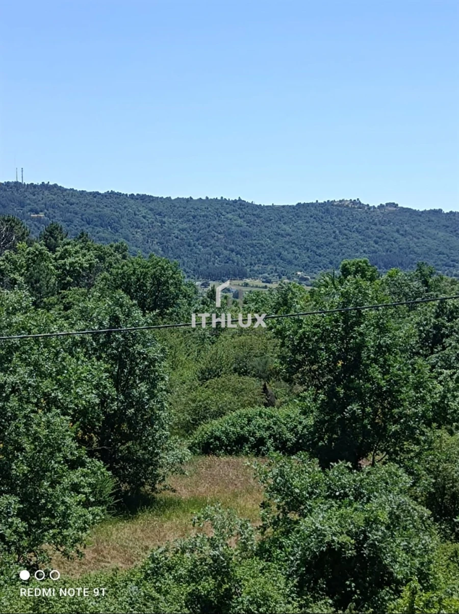 Terreno Agricola ou Rústico para Venda em Vale Formoso e Aldeia do Souto Foto 6