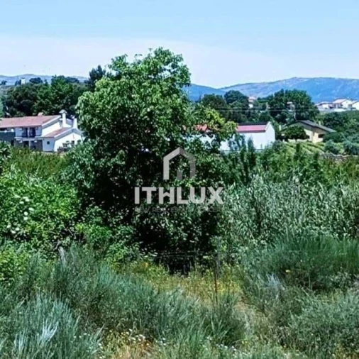 Terreno Agricola ou Rústico para Venda em Vale Formoso e Aldeia do Souto Foto 7