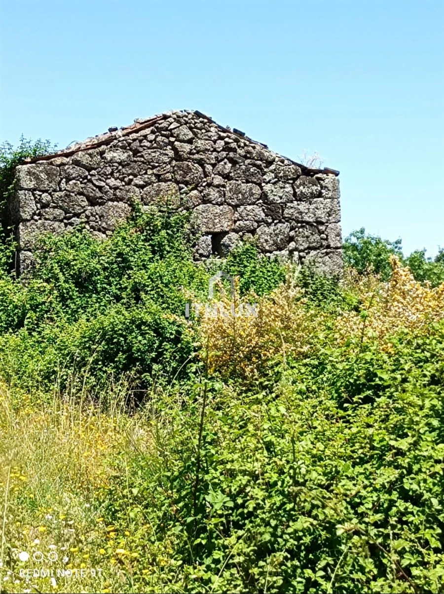 Terreno Agricola ou Rústico para Venda em Vale Formoso e Aldeia do Souto Foto 4