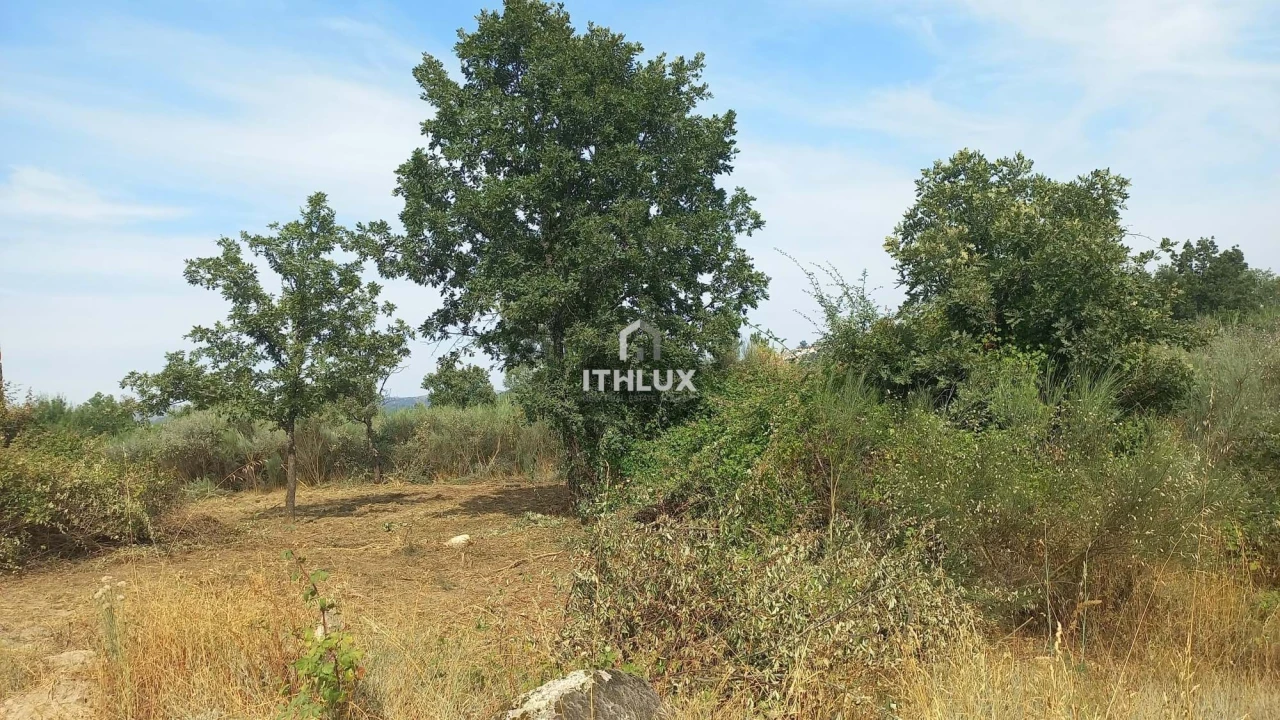 Terreno Agricola ou Rústico para Venda em Vale Formoso e Aldeia do Souto Foto 11