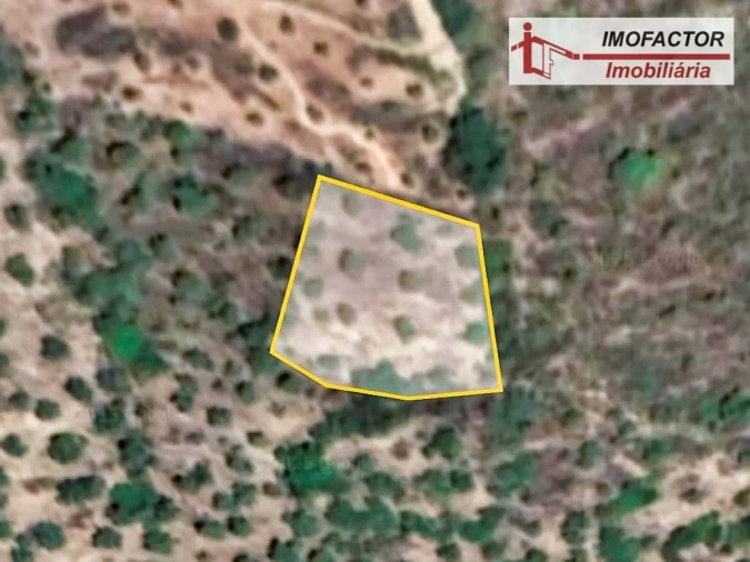 Terreno para Venda em Perais Foto 5