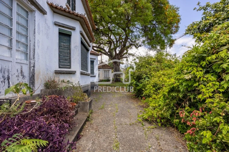 Quinta T4 para Venda em Funchal (São Pedro) Foto 6