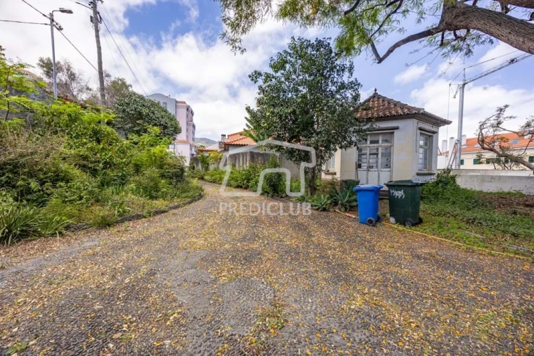 Quinta T4 para Venda em Funchal (São Pedro) Foto 7