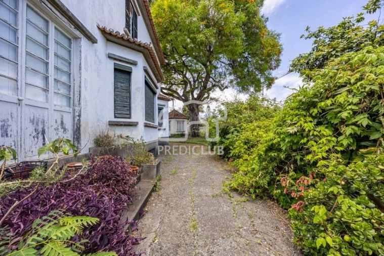 Quinta T4 para Venda em Funchal (São Pedro) Foto 13