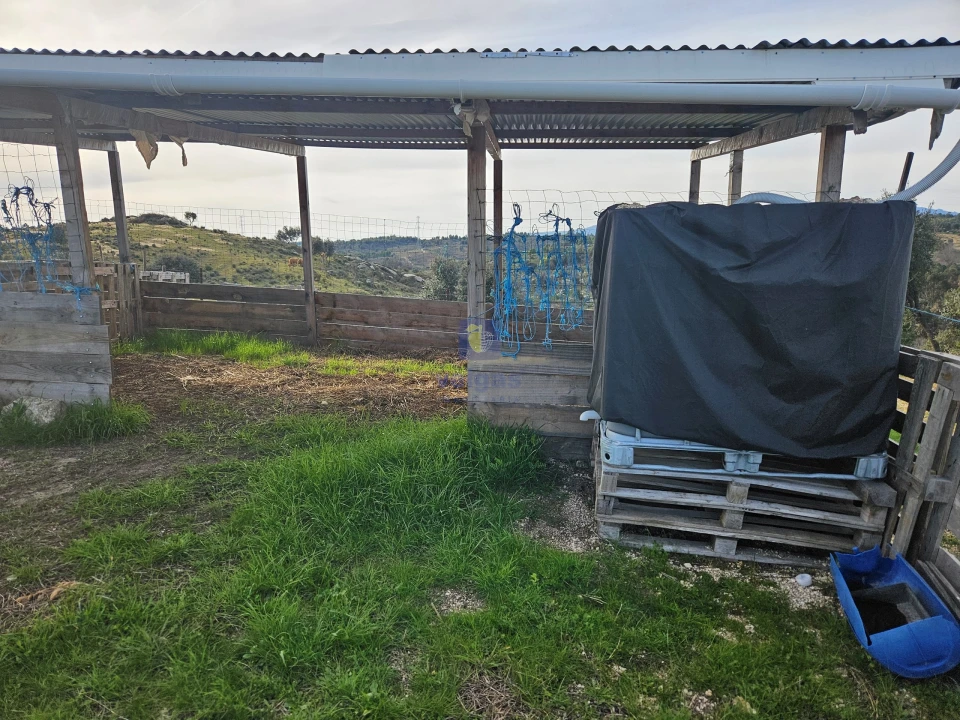 Terreno Agricola ou Rústico para Venda em São Miguel de Acha Foto 3