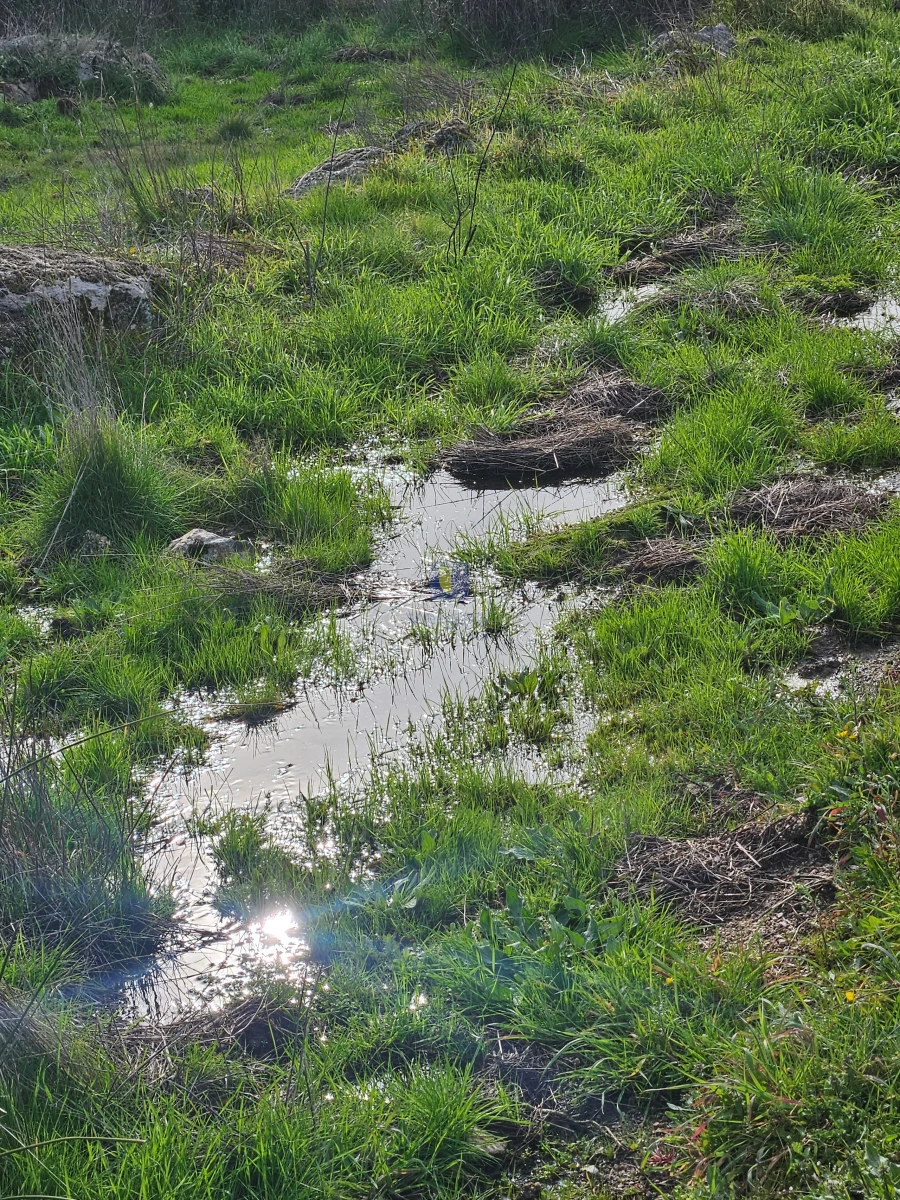 Terreno Agricola ou Rústico para Venda em São Miguel de Acha Foto 13