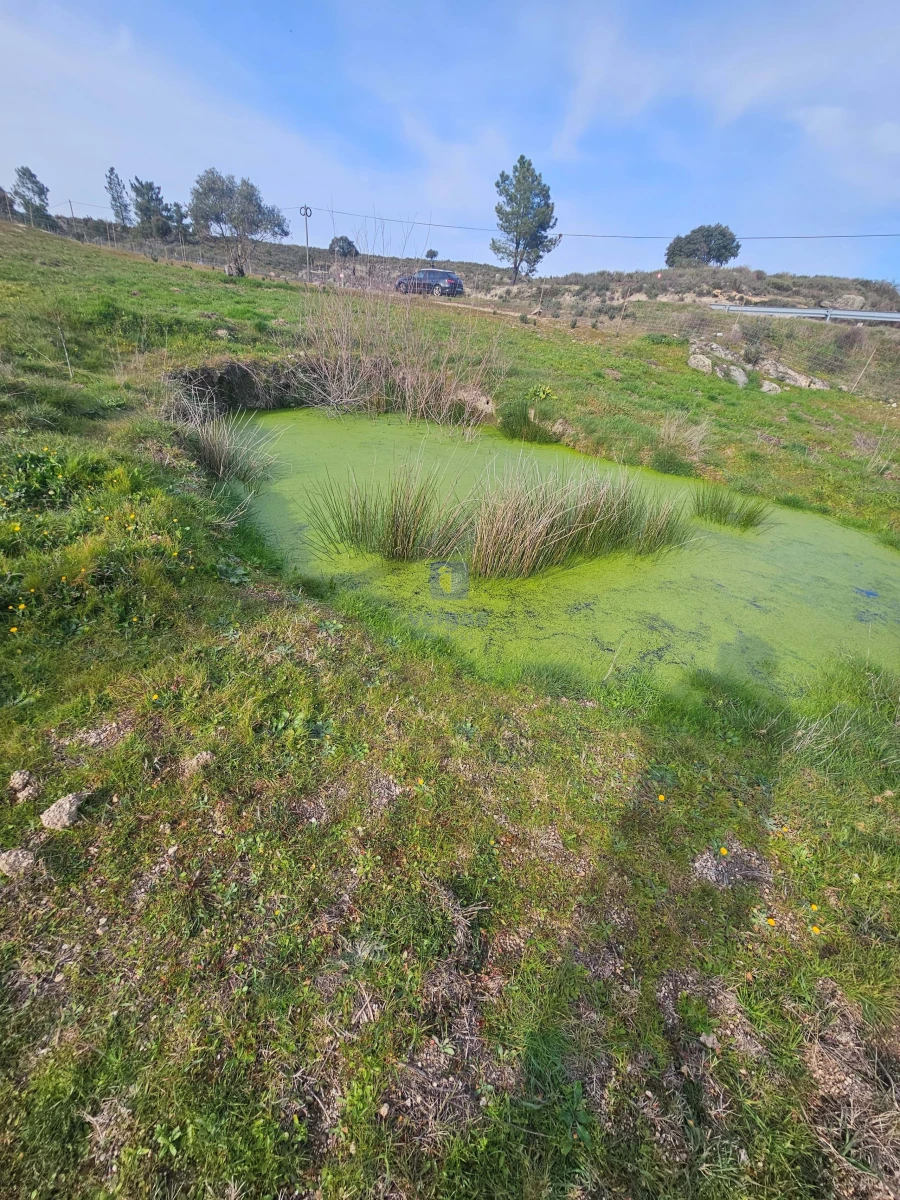 Terreno Agricola ou Rústico para Venda em São Miguel de Acha Foto 14