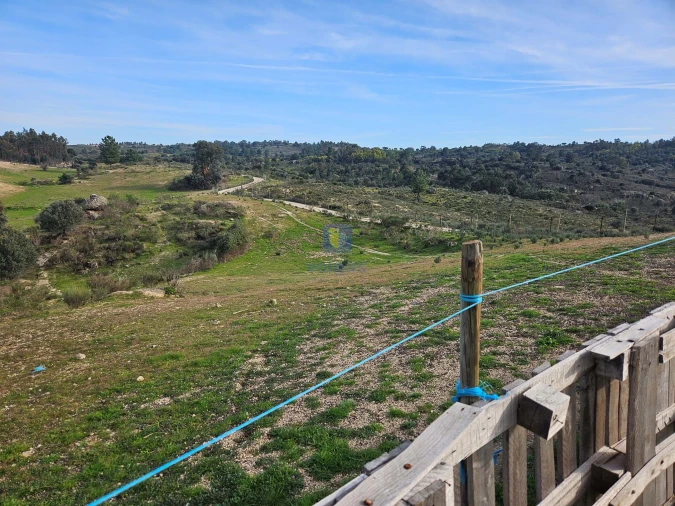 Terreno Agricola ou Rústico para Venda em São Miguel de Acha Foto 2