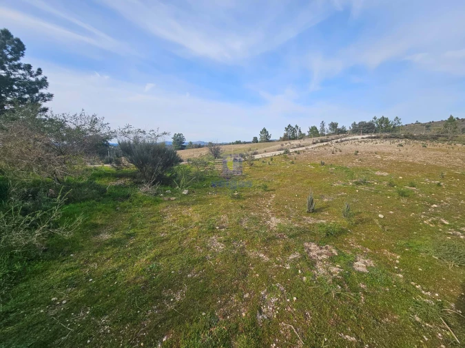 Terreno Agricola ou Rústico para Venda em São Miguel de Acha Foto 5