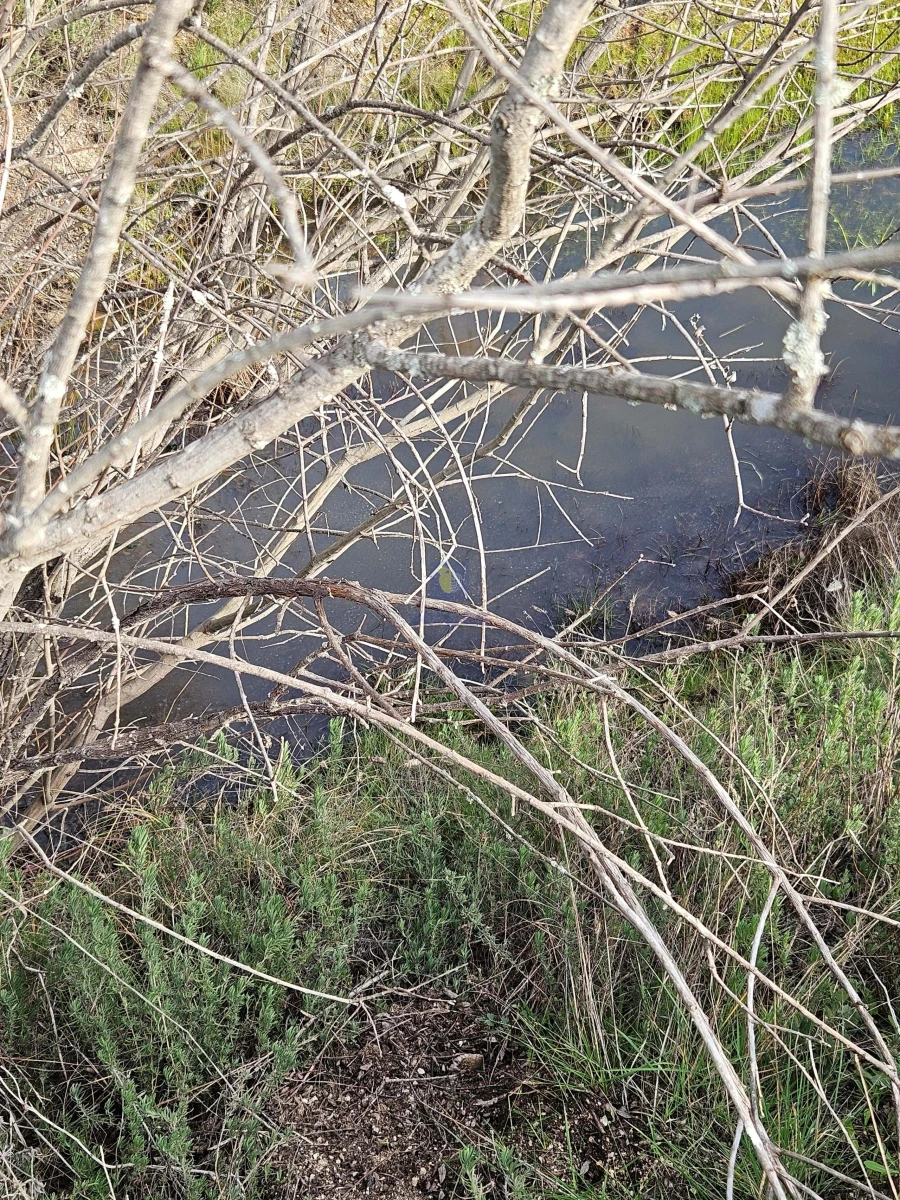 Terreno Agricola ou Rústico para Venda em São Miguel de Acha Foto 10