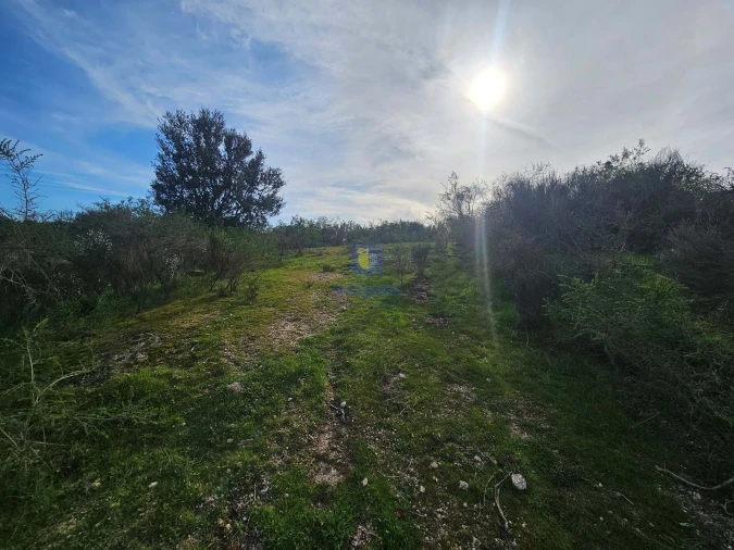Terreno Agricola ou Rústico para Venda em São Miguel de Acha Foto 7
